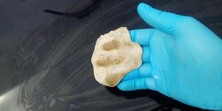 Decontaminarea auto cu argila