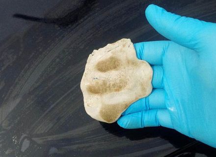 Decontaminarea auto cu argila